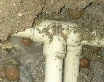 勐腊测漏水多少钱