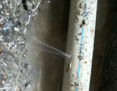 勐腊测漏水哪家好