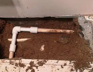 勐腊测漏水哪家好