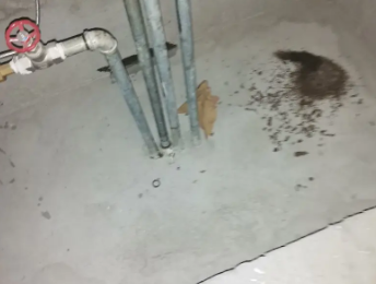 勐腊卫生间测漏水价格明细