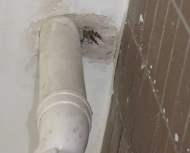 勐腊漏水检测哪家好